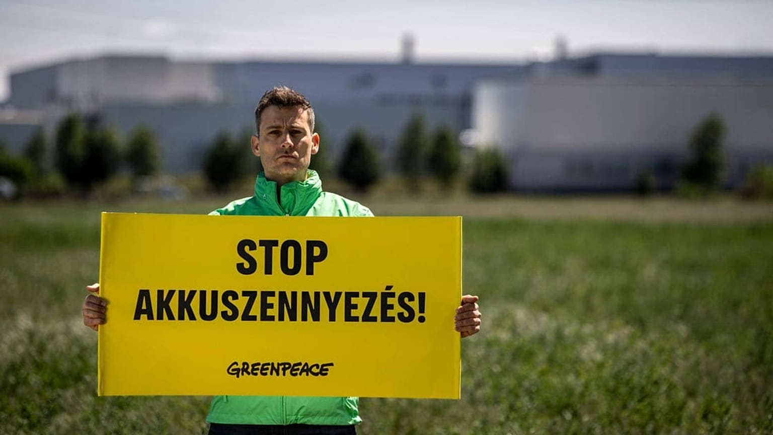 Forrás: Greenpeace Magyarország