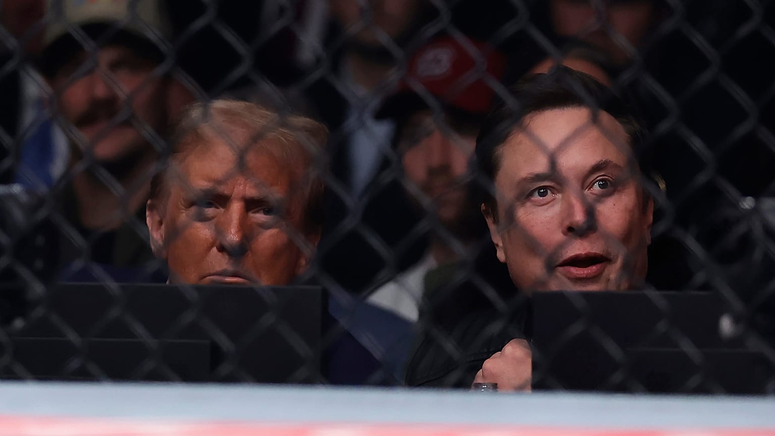 Donald Trump ve Elon Musk.