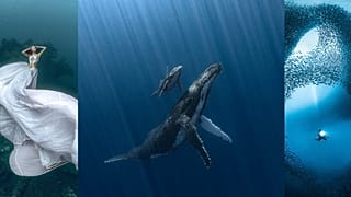 Fotografías submarinas gran angular, ganador en el centro Álvaro Herrero