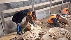 Trento'nun Kültürden Sorumlu Başkan Yardımcısı ve İl Meclis Üyesi Francesca Gerosa alanı ziyaret etti.