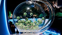  كرات داخل آلة اليانصيب خلال مؤتمر صحفي لشركة Française des Jeux (FDJ)، المشغّلة لليانصيب الوطني في فرنسا، ، 10 أبريل 2018.