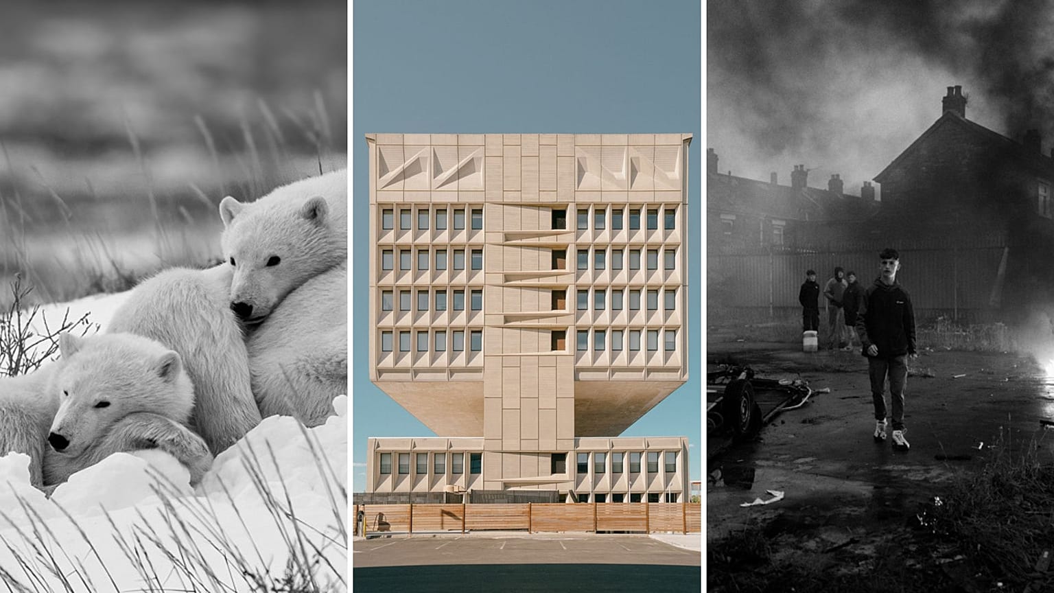 Voici quelques-uns des finalistes et des lauréats du concours professionnel Sony World Photography Awards 2025 de cette année.