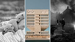 Voici quelques-uns des finalistes et des lauréats du concours professionnel Sony World Photography Awards 2025 de cette année.