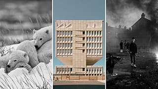 Voici quelques-uns des finalistes et des lauréats du concours professionnel Sony World Photography Awards 2025 de cette année.