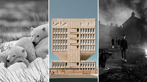 Here are some of the finalists and shortlisted entires from this year's Sony World Photography Awards 2025 professional competition
