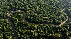 Forest lines the Combu creek, on Combu Island on the banks of the Guama River, near the city of Belem, Para state, Brazil.