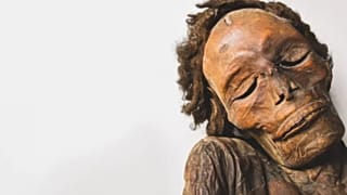 Momie guanche