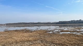 A Balmazújváros mellett fekvő Nagy-Szik 2025. február 26-án