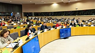 Avrupa Komisyonu'nun 2025 yılı çalışma programı bu ayın başlarında Strazburg'da sunuldu.
