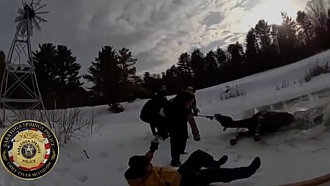 Sly, a 1,300-pound horse, is rescued after falling through the ice of a pond, Saratoga Springs, New York, USA, 24.02.2025