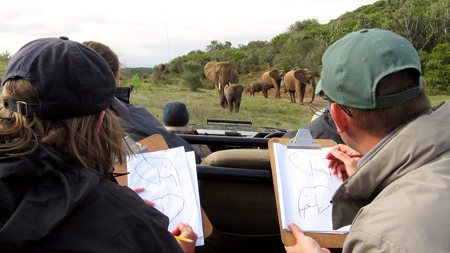 Voluntters moitor elephants from a distance. 