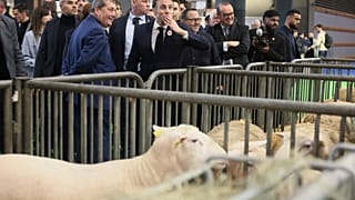 La fiera dell'agricoltura a Parigi