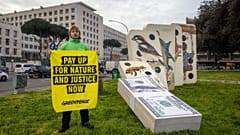 Las negociaciones de la COP16 han concluido con una victoria para la naturaleza.
