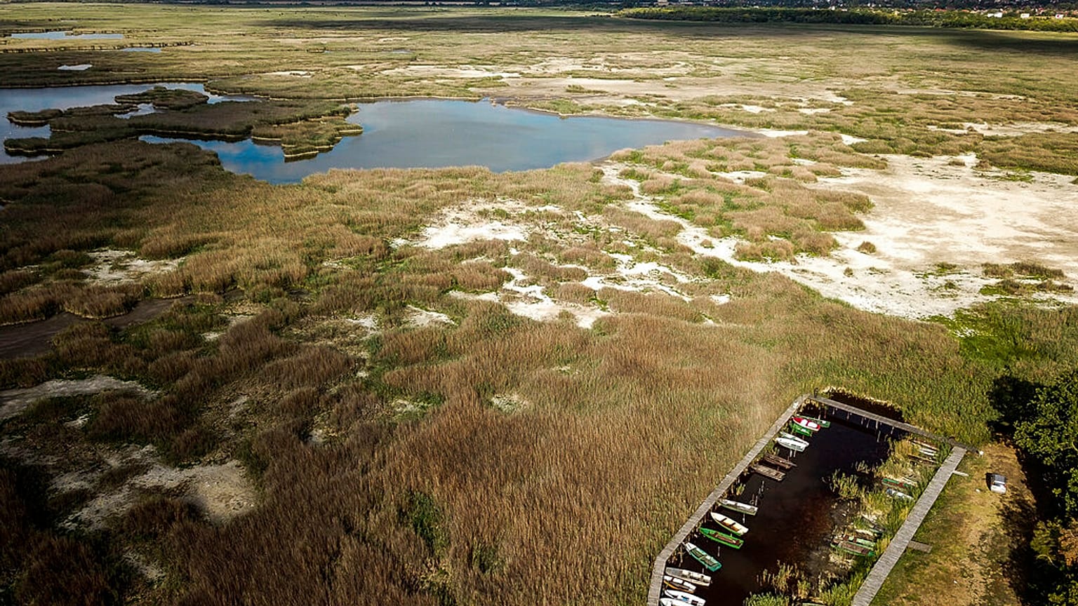Im Sommer 2022 war die Dürre in Ungarn besonders schlimm