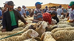 Fas'ın merkezi Khouribga yakınlarındaki Lagfaf pazarında Kurban Bayramını kutlamadan önce Lagfaf pazarında alıcıları bekleyen tüccarlar, 7 Eylül 2016