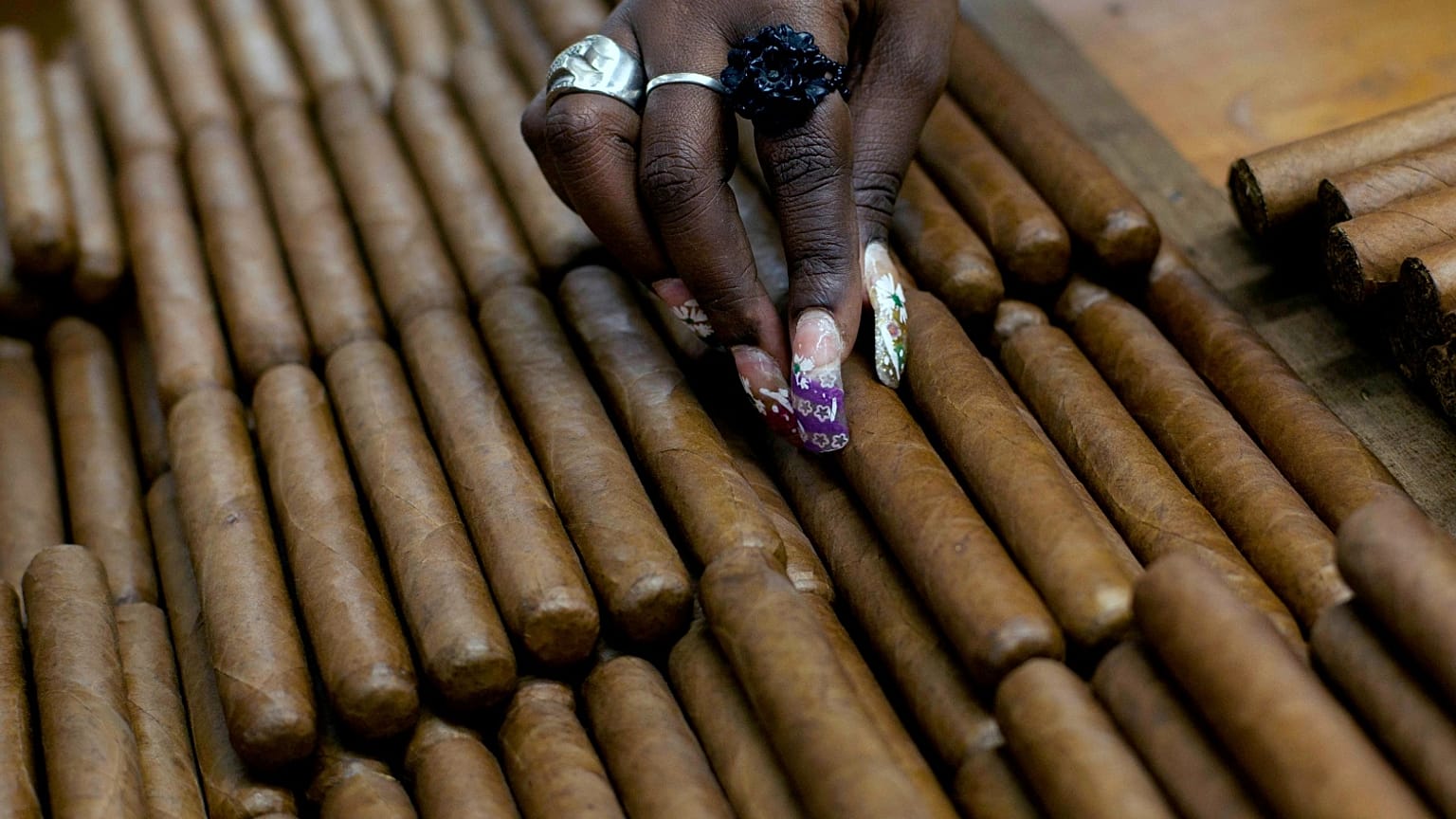 موظفة تختار السيجار في مصنع H. Upmann للسيجار، حيث يمكن للناس القيام بجولات كجزء من مهرجان السيجار السنوي الخامس عشر في هافانا، كوبا.