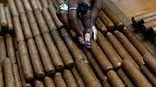 موظفة تختار السيجار في مصنع H. Upmann للسيجار، حيث يمكن للناس القيام بجولات كجزء من مهرجان السيجار السنوي الخامس عشر في هافانا، كوبا.