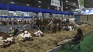 Fiera agricola di Parigi, 25 febbraio 2023.