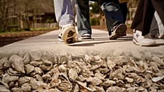 Nichts wird verschwendet: Die Küstenindustrie recycelt Austernschalen und alte Fischernetze