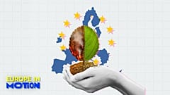 Zwischen 2020 und 2024 sorgen sich die Menschen mehr um Sicherheit und Lebenshaltungskosten und weniger um den Klimawandel.  