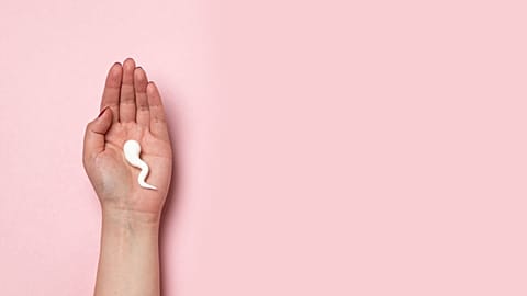 Men with higher quality sperm may have longer lifespan, new study finds