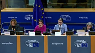 نشست هیات روابط با ایران پارلمان اروپا 