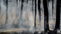 İngiltere, tarihte ilk kez 40C'ye ulaşan sıcaklıklarla eşi benzeri görülmemiş bir sıcak hava dalgası yaşadı, 2020 