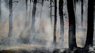 In 2022, the UK experienced an unprecedented heatwave, with temperatures reaching 40C for the first time in recorded history.