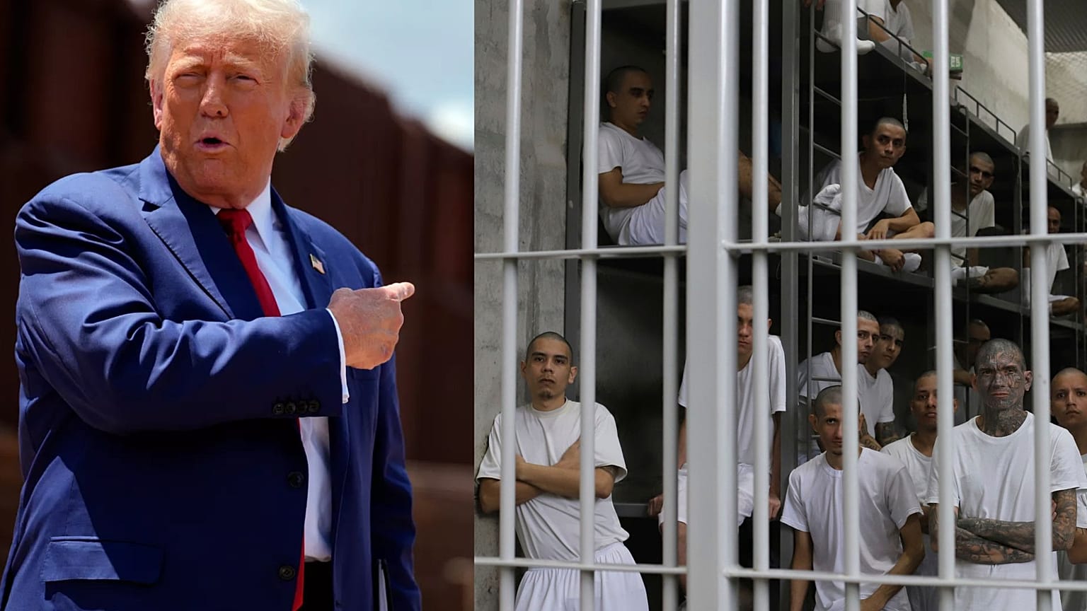 Trump deporta a 238 miembros de una banda venezolana