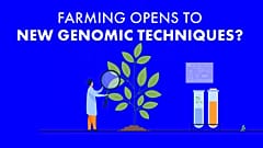 Wird die europäische Landwirtschaft auf neue genomische Techniken umstellen?