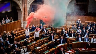 Parlamento salonunda ulusal duman
