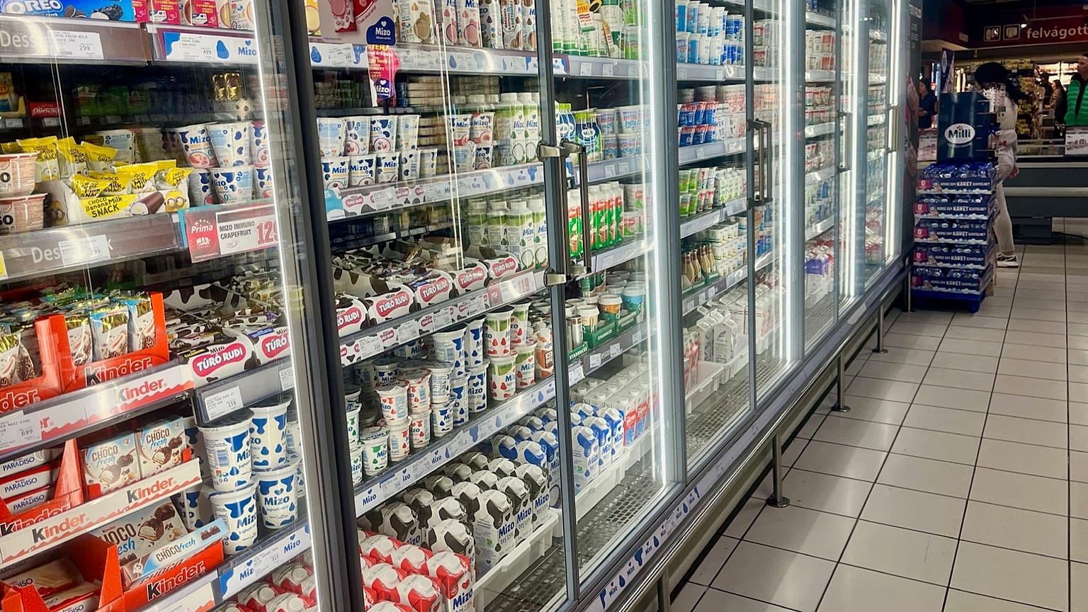 Intérieur d'une épicerie, comptoir de produits laitiers - Budapest, 18 mars 2025. 