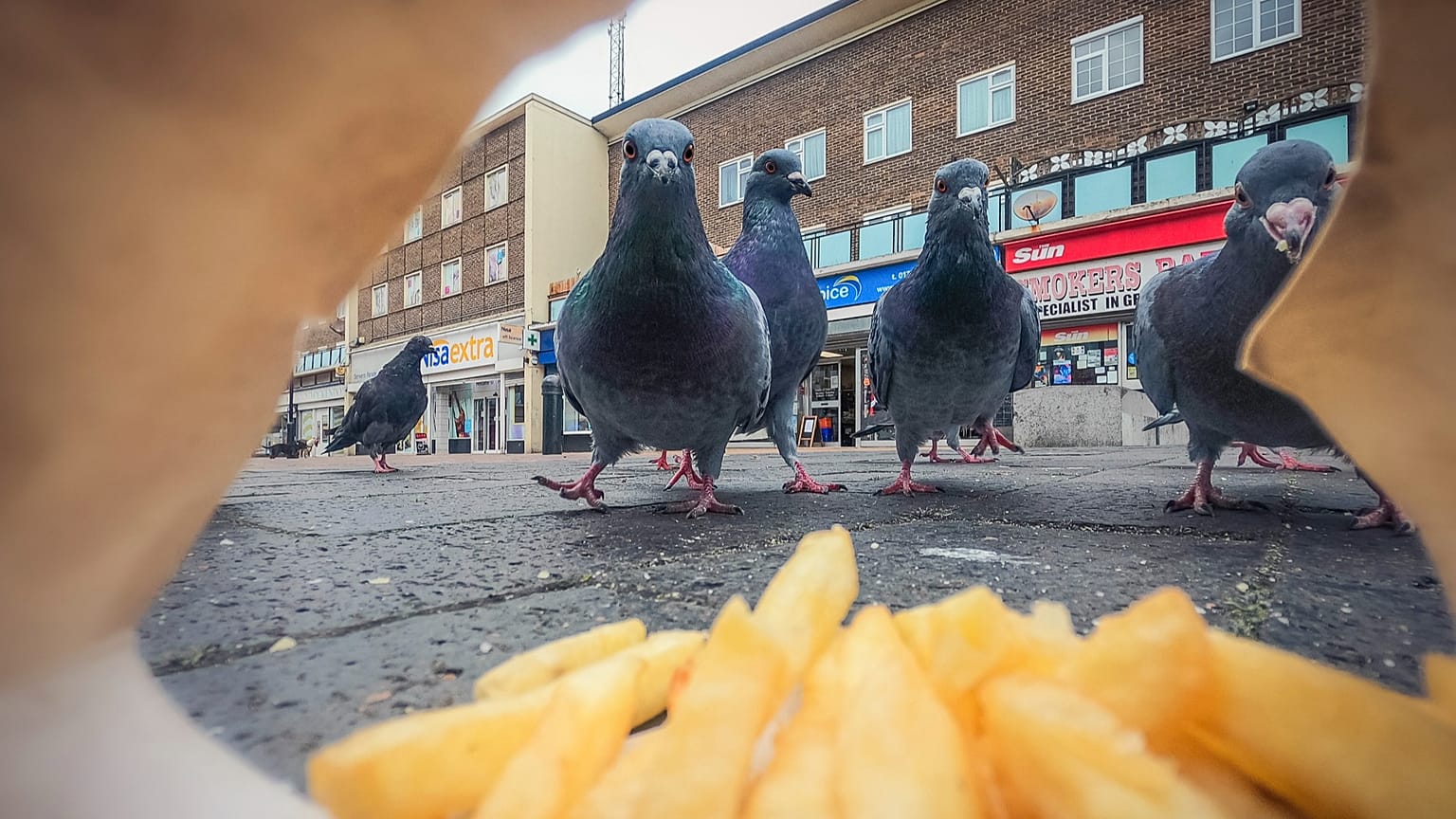 "Nettoyeurs de rue" par Ben Lucas