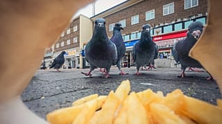 "Nettoyeurs de rue" par Ben Lucas