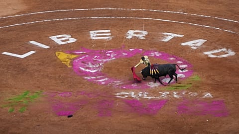 A bullfighter performs at the Plaza Mexico in Mexico City, 28 January, 2024