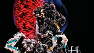 Björk annuncia l'uscita nei cinema di tutto il mondo del film concerto Cornucopia