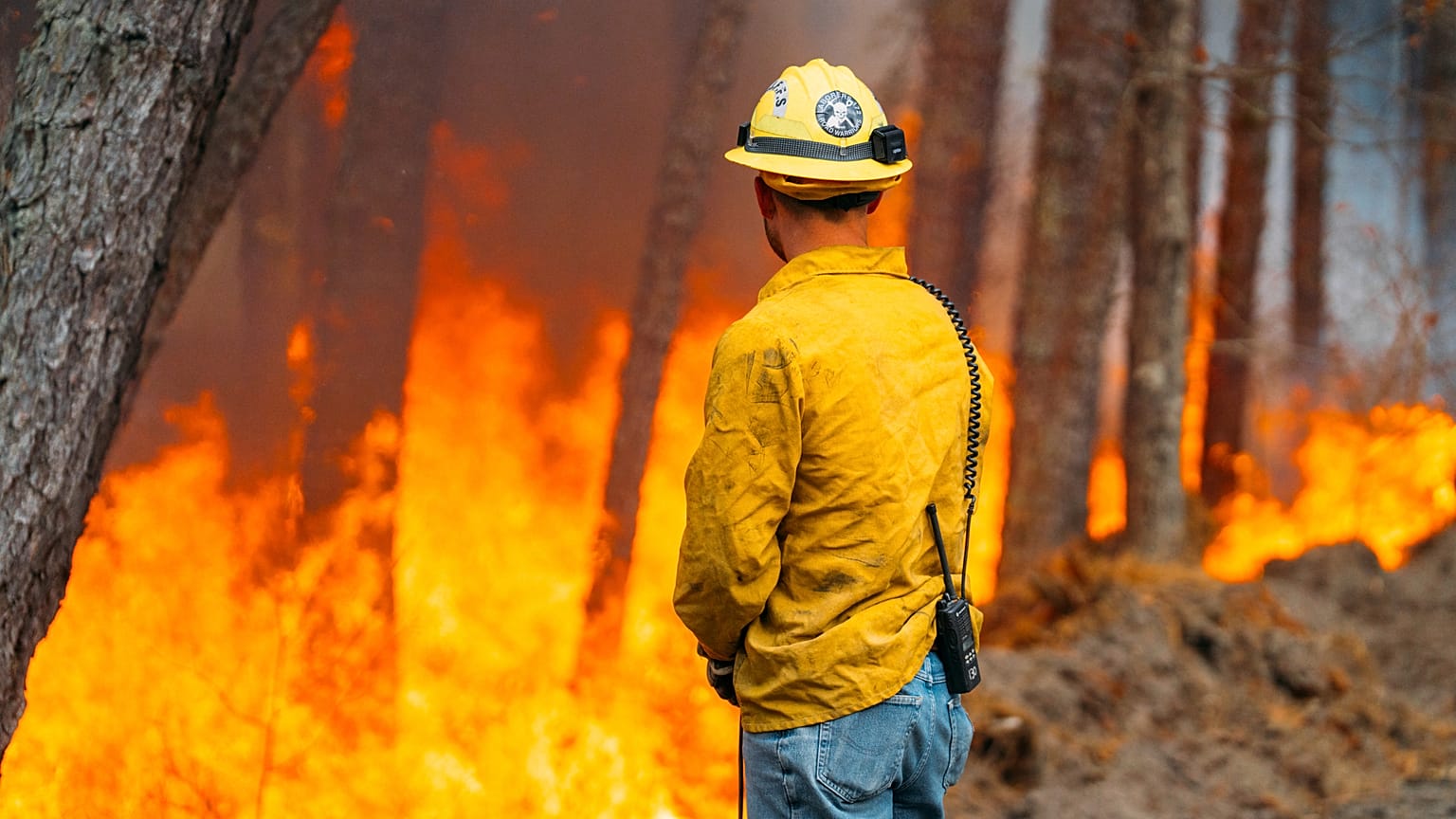 Un bombero observa cómo arde el incendio forestal del bosque estatal Wharton de Nueva Jersey, en marzo de 2025.