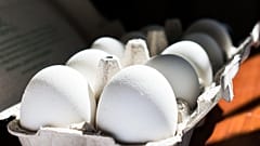 Eier