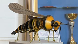 CAPTURE D'ÉCRAN - Exposition d'art présentant des objets en métal recyclé