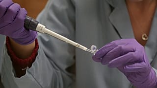 Un criminólogo trabaja con una muestra de ADN en un laboratorio de California. 