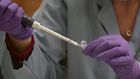 A criminologist works on a DNA sample at a laboratory in California. 