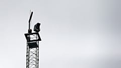 Ungarische Polizeikamera an der serbischen Grenze 