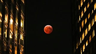 Eine totale Mondfinsternis, bekannt als "Blutmond", zwischen den Wolkenkratzern in der Innenstadt von Chicago, am Freitag, dem 14. März 2025