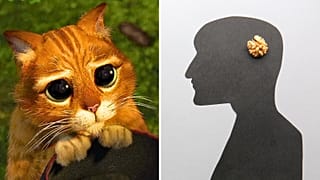 Gigil ou ludraman: até que ponto conheces estas novas palavras acrescentadas ao dicionário?