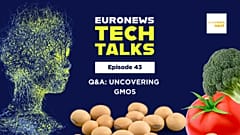 Euronews Tech Talks