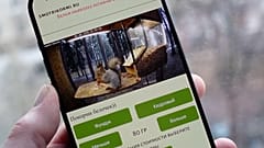 Handy-Bildschirm zeigt einen Live-Stream eines essenden Eichhörnchens auf einer Webseite