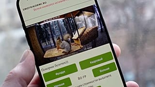 Mobile phone screen showing stream of eating squirrel on website