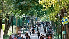عکس آرشیوی از محوطه دانشگاه پنسیلوانیا