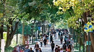 عکس آرشیوی از محوطه دانشگاه پنسیلوانیا