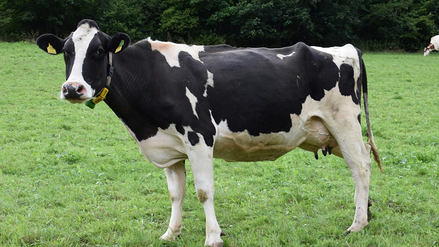 Képünk illusztráció 